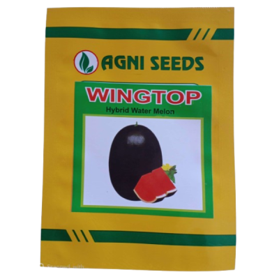 Wing Top - Water Melon